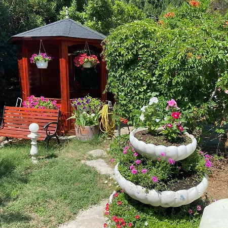 And Dalibor Apartament *