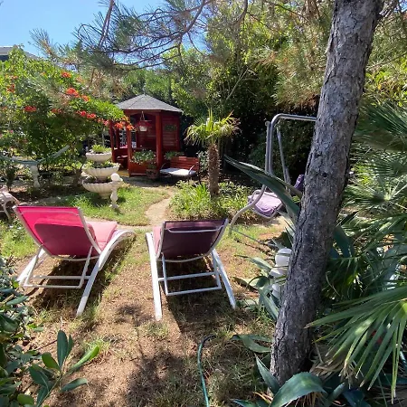 And Dalibor Apartament