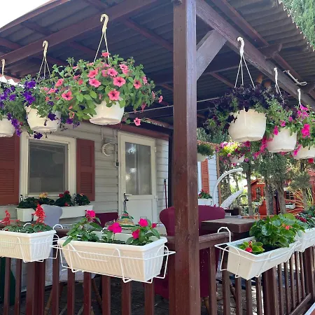 Appartamento Dalibor Wellness, 2 Jacuzzies, Sauna, Parking, Grill, Observatory, Mediterranean Garden Nin