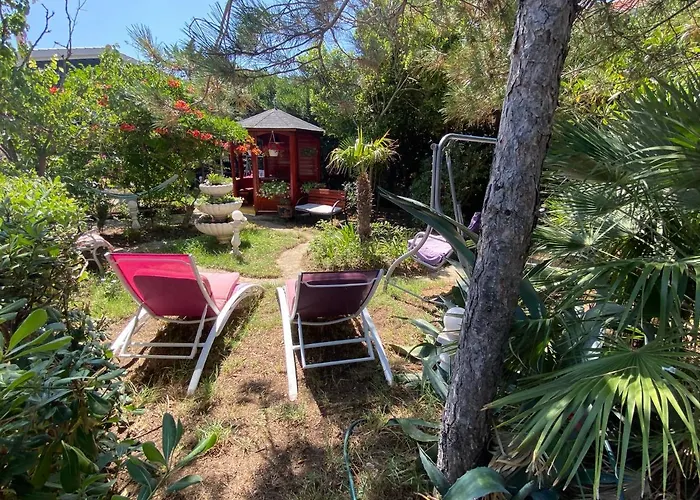 And Dalibor Apartament