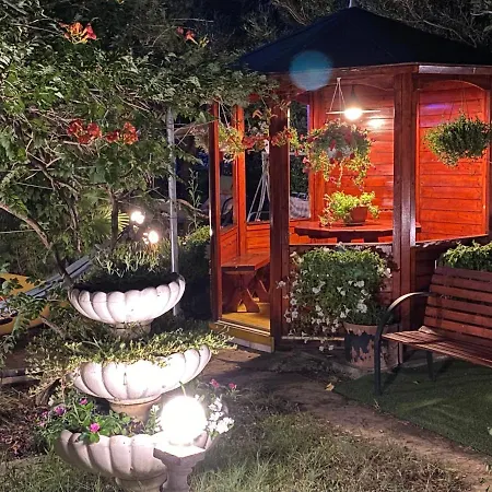 Apartment And Dalibor Nin