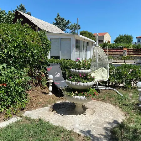 Lejlighed And Dalibor *