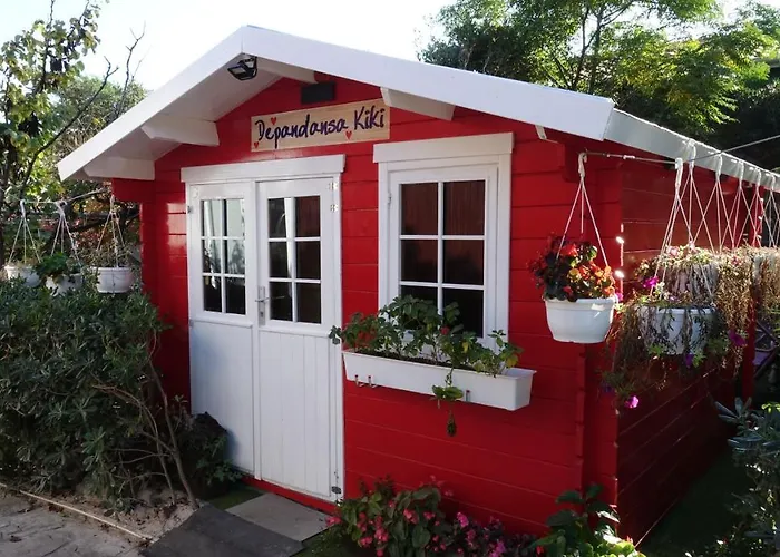 And Dalibor דירה נין